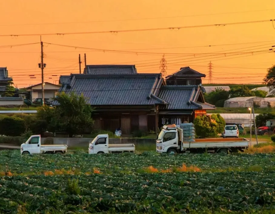 夕焼けに染まる畑と瓦屋根の民家